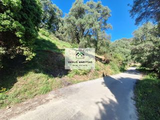 Οικόπεδο 4.333 τ.μ. πρός πώληση, Ν. Κέρκυρας, Κέρκυρα-thumb-4