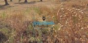 Land plot 14.135sqm for sale-Meganisi