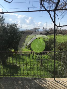 Land plot 8.000sqm for sale-Patra
