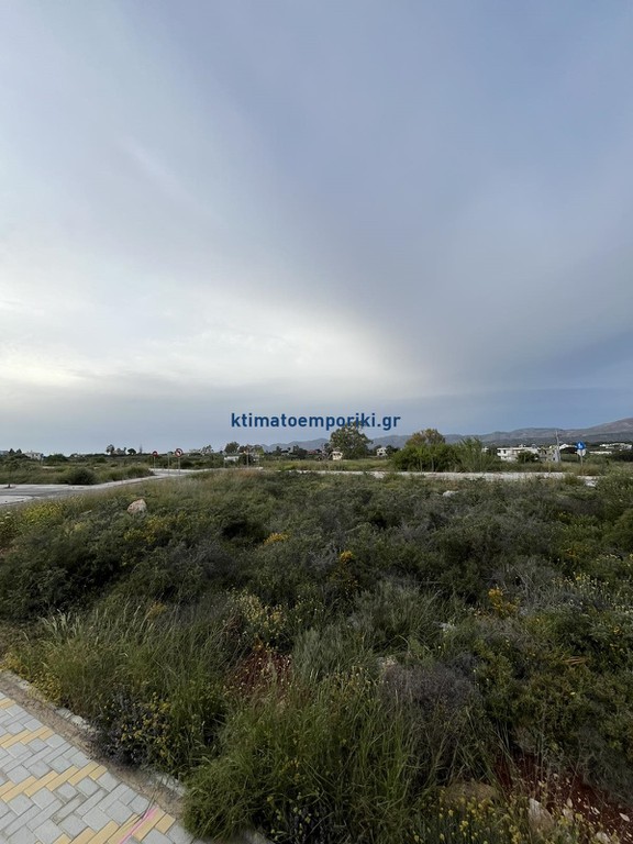 Οικόπεδο 400 τ.μ. προς πώληση, Στέρνες Ακρωτηρίου
