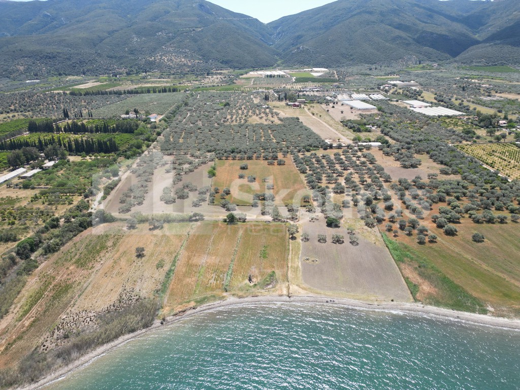 Αγροτεμάχια 25.000 τ.μ. προς πώληση, Γαλατάς Τροιζήνας