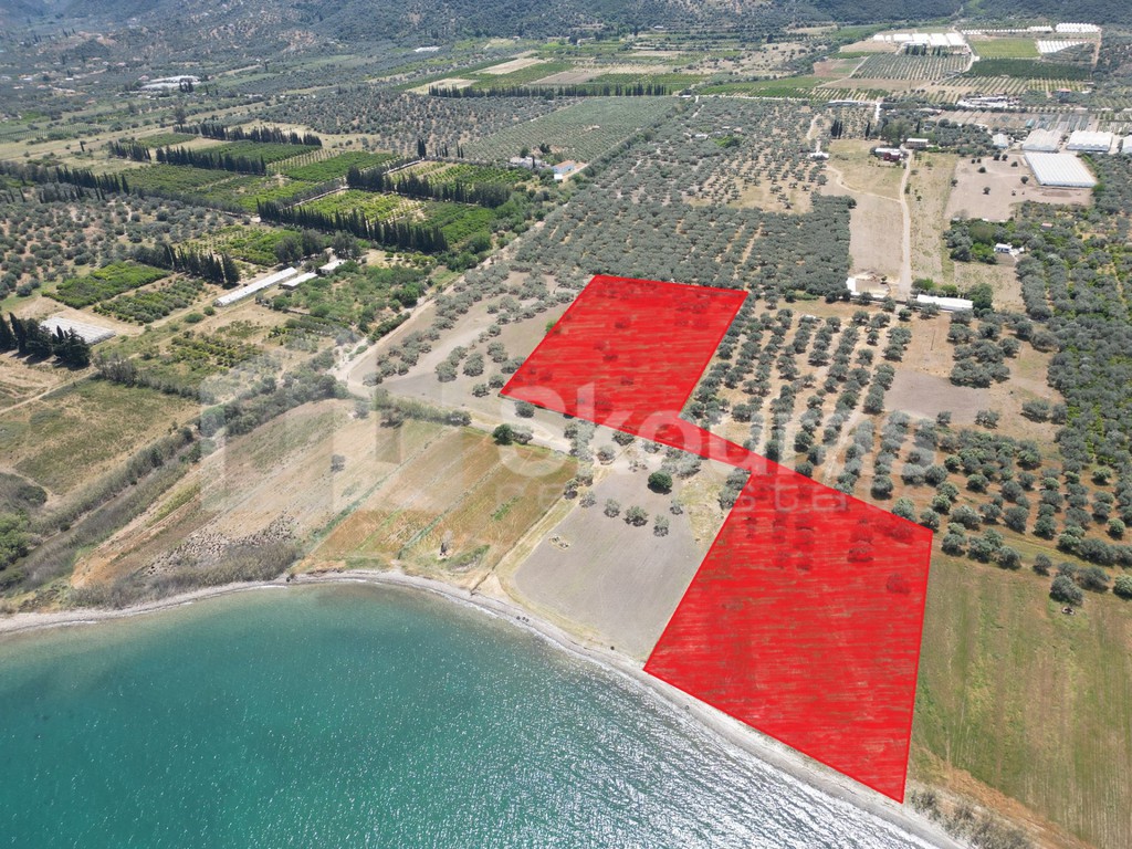 Αγροτεμάχια 25.000 τ.μ. προς πώληση, Γαλατάς Τροιζήνας