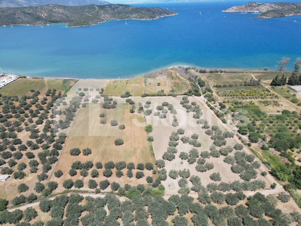 Αγροτεμάχια 25.000 τ.μ. προς πώληση, Γαλατάς Τροιζήνας