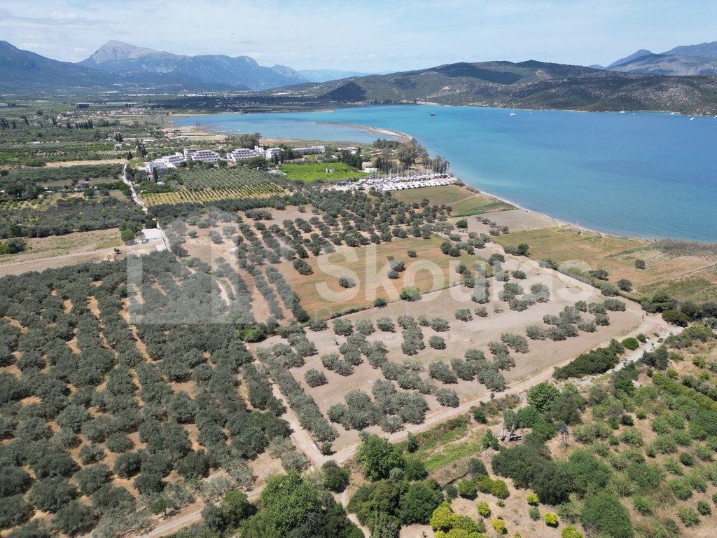 Αγροτεμάχια 25.000 τ.μ. προς πώληση, Γαλατάς Τροιζήνας