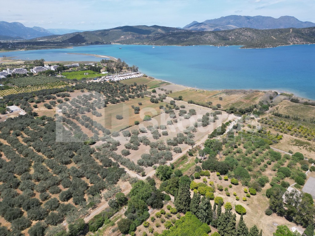 Αγροτεμάχια 25.000 τ.μ. προς πώληση, Γαλατάς Τροιζήνας
