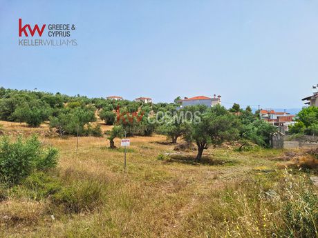Land plot 896sqm for sale-Anthidonos