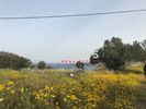 Land plot 4.888sqm for sale-Aegina