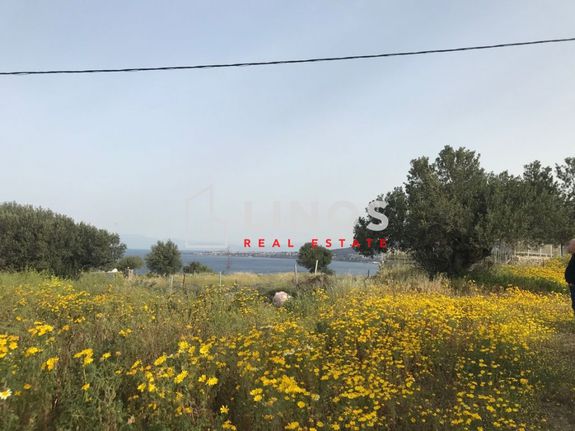 Land plot 4.888 sqm for sale, Argosaronikos Islands, Aegina