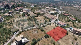 Οικόπεδο 852,76 τ.μ. για πώληση, Μεσσηνία, Λεύκτρος-thumb-21