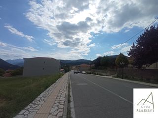 Οικόπεδο 2.499 τ.μ. για πώληση, Ευρυτανία, Καρπενήσι-thumb-6