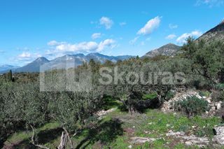 Οικόπεδο 350 τ.μ. για πώληση, Μεσσηνία, Λεύκτρος-thumb-23