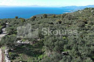 Οικόπεδο 350 τ.μ. για πώληση, Μεσσηνία, Λεύκτρος-thumb-16