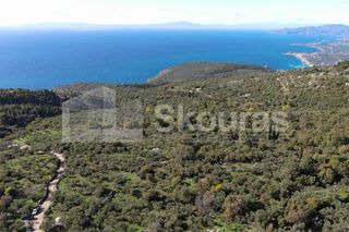 Οικόπεδο 350 τ.μ. για πώληση, Μεσσηνία, Λεύκτρος-thumb-21
