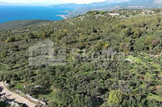 Οικόπεδο 350 τ.μ. για πώληση, Μεσσηνία, Λεύκτρος-thumb-19
