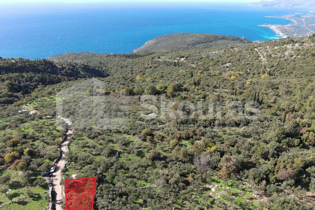 Οικόπεδο 350 τ.μ. προς πώληση, Νομιτσής