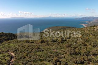 Οικόπεδο 350 τ.μ. για πώληση, Μεσσηνία, Λεύκτρος-thumb-22