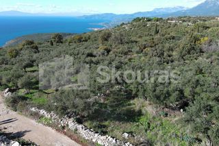 Οικόπεδο 350 τ.μ. για πώληση, Μεσσηνία, Λεύκτρος-thumb-17