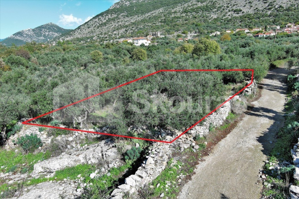 Οικόπεδο 350 τ.μ. προς πώληση, Νομιτσής