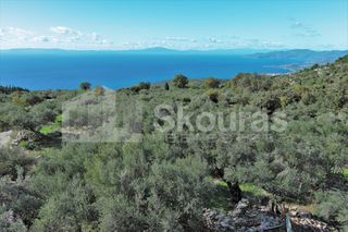 Οικόπεδο 350 τ.μ. για πώληση, Μεσσηνία, Λεύκτρος-thumb-14