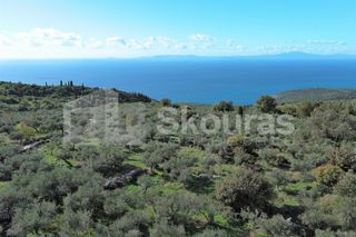 Οικόπεδο 350 τ.μ. για πώληση, Μεσσηνία, Λεύκτρος-thumb-9