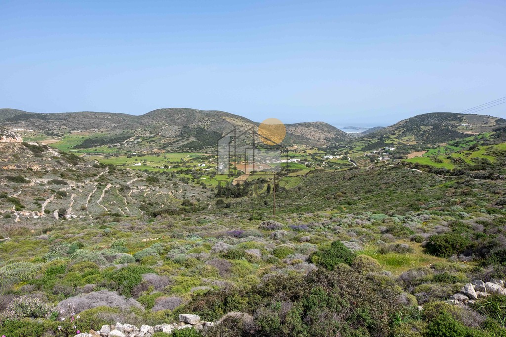 Αγροτεμάχια 12.026 τ.μ. πρός πώληση, Κυκλάδες, Πάρος