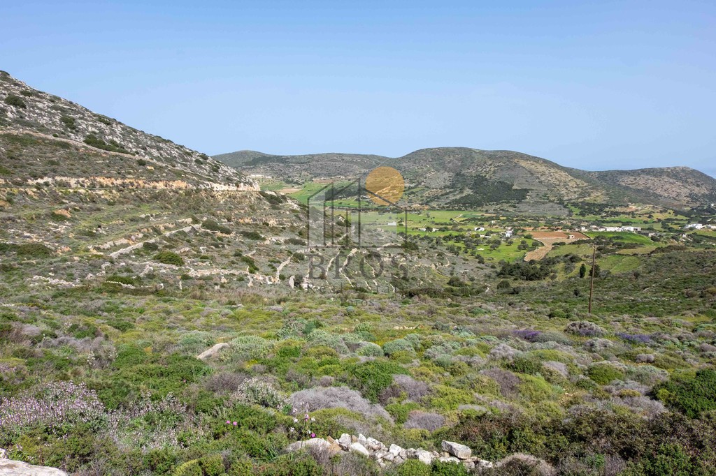 Αγροτεμάχια 12.026 τ.μ. πρός πώληση, Κυκλάδες, Πάρος