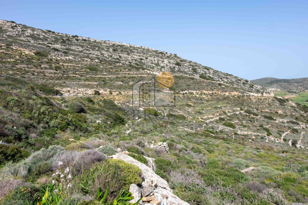 Αγροτεμάχια 12.026 τ.μ. πρός πώληση, Κυκλάδες, Πάρος