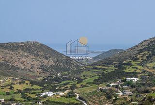 Αγροτεμάχια 12.026 τ.μ. για πώληση
