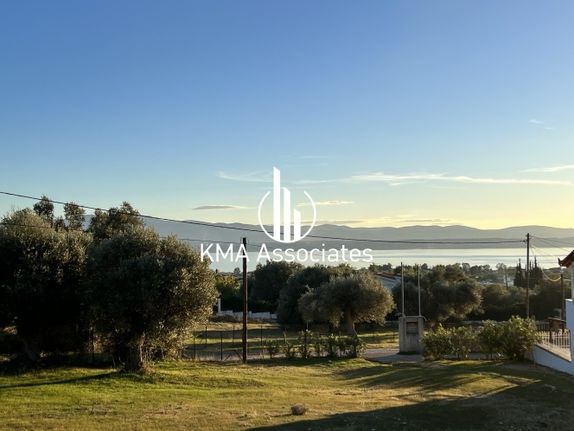 Οικόπεδο 350 τ.μ. για πώληση, Εύβοια, Ερέτρια