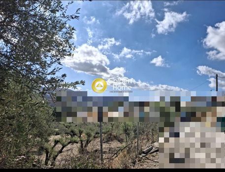 Αγροτεμάχια 1.900τ.μ. για πώληση-Ηράκλειο κρήτης » Φιλοθέη