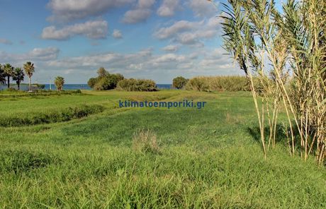 Land plot 1.000 sqm for sale