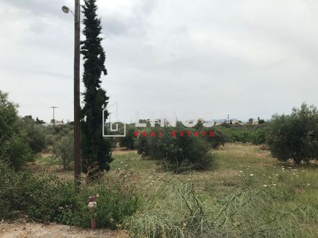 Οικόπεδο 1.602τ.μ. για πώληση-Αίγινα