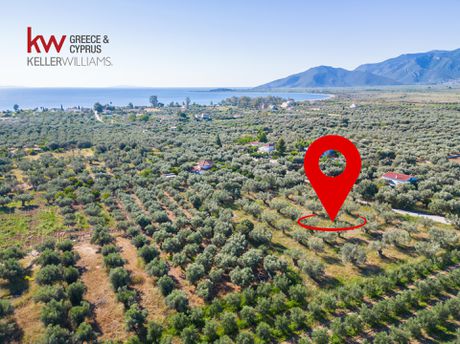 Land plot 4.092sqm for sale-North Kinouria