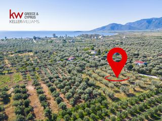 Οικόπεδο 4.092 τ.μ. για πώληση