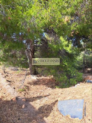 Αγροτεμάχια 205 τ.μ. για πώληση, Αττική - Υπόλοιπο, Πικέρμι
