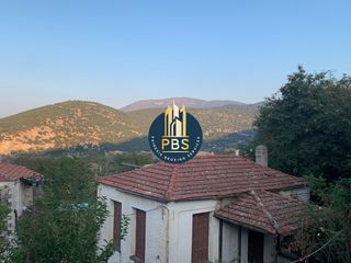 Διαμέρισμα 100 τ.μ. για πώληση, Αρκαδία, Βόρεια Κυνουρία-thumb-9
