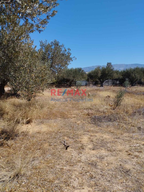 Οικόπεδο 4.325 τ.μ. προς πώληση, Μπαθαρίστρα