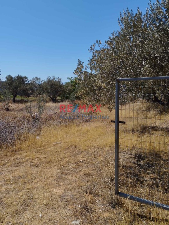 Οικόπεδο 4.325 τ.μ. προς πώληση, Μπαθαρίστρα