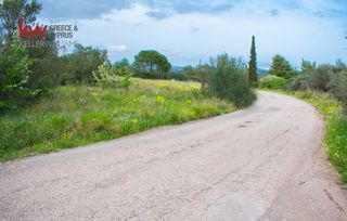 Οικόπεδο 4.294 τ.μ. για πώληση, Αργολίδα, Ερμιόνη-thumb-13