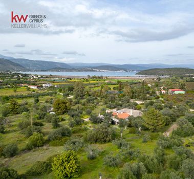 Οικόπεδο 4.294τ.μ. για πώληση-Ερμιόνη