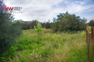 Οικόπεδο 4.294 τ.μ. για πώληση, Αργολίδα, Ερμιόνη-thumb-17