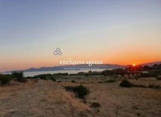 Οικόπεδο 13.600 τ.μ. για πώληση, Εύβοια, Κάρυστος-thumb-3