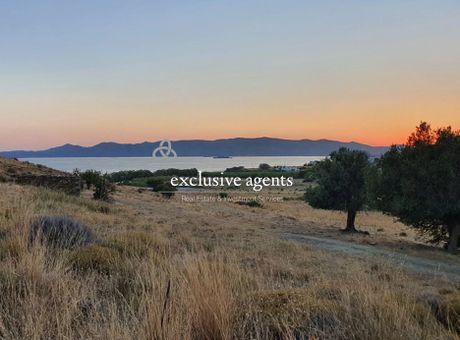 Land plot 13.600sqm for sale-Karistos