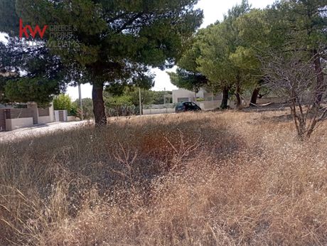 Land plot 705sqm for sale-Markopoulo
