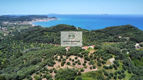 Οικόπεδο 6.300τ.μ. για πώληση-Κέρκυρα