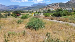 Αγροτεμάχια 5.303 τ.μ. για πώληση, Αργολίδα, Κρανίδι-thumb-10
