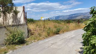 Αγροτεμάχια 5.303 τ.μ. για πώληση, Αργολίδα, Κρανίδι-thumb-13