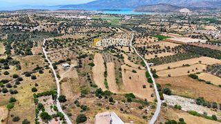 Αγροτεμάχια 5.303 τ.μ. για πώληση, Αργολίδα, Κρανίδι-thumb-1