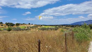 Αγροτεμάχια 5.303 τ.μ. για πώληση, Αργολίδα, Κρανίδι-thumb-19