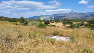 Αγροτεμάχια 5.303 τ.μ. για πώληση, Αργολίδα, Κρανίδι-thumb-4